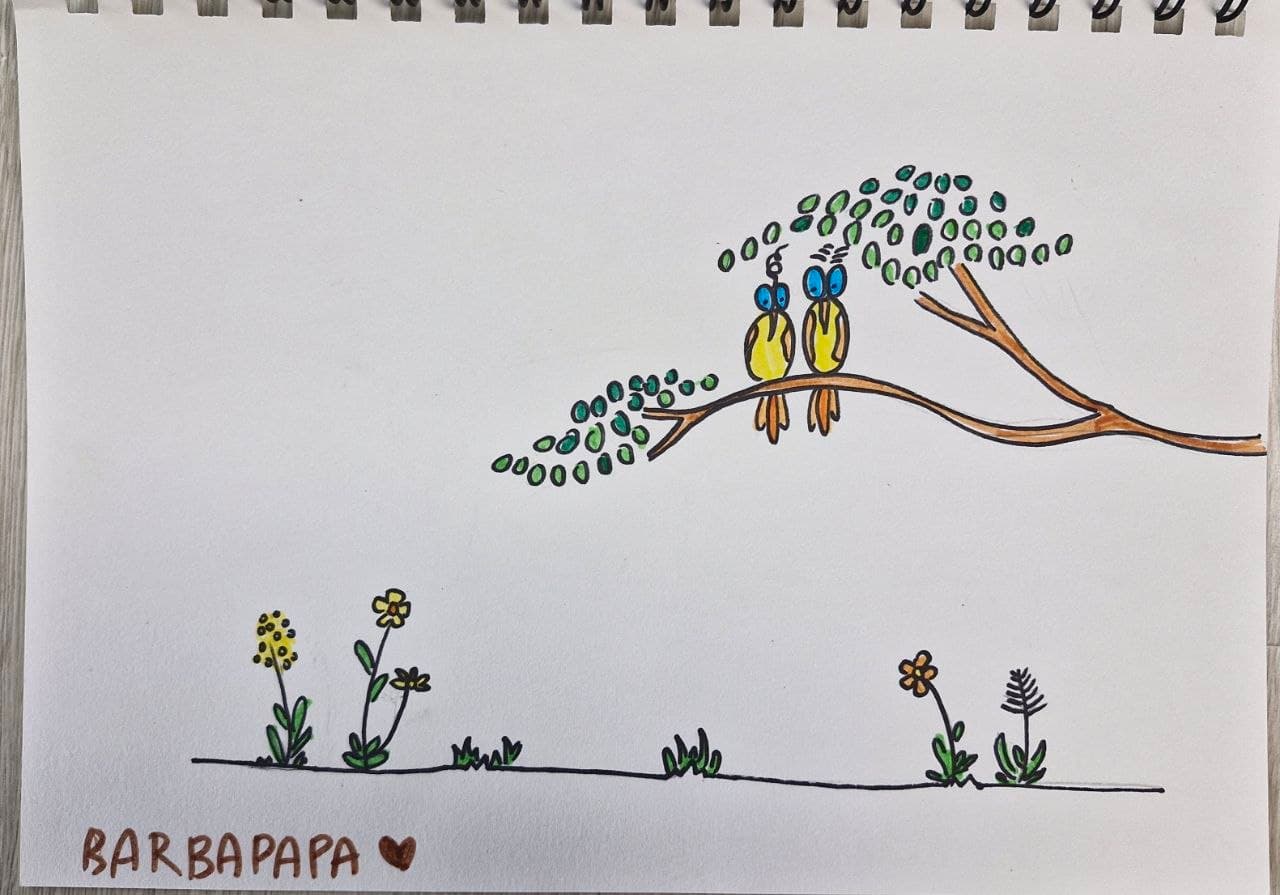 BARBAPAPA